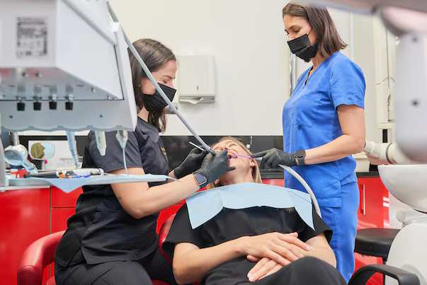 Understanding the Role of Your Dentist in Oral Health Essential Services
